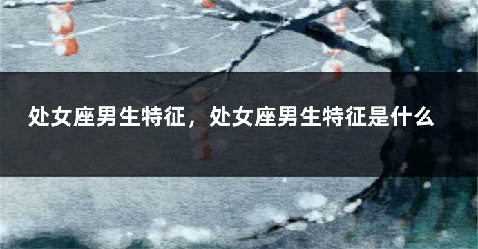 处女座男生特征，处女座男生特征是什么