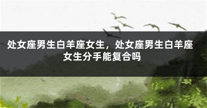 处女座男生白羊座女生，处女座男生白羊座女生分手能复合吗