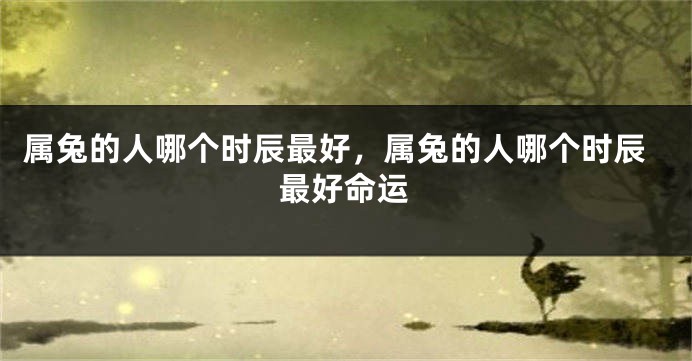 属兔的人哪个时辰最好，属兔的人哪个时辰最好命运