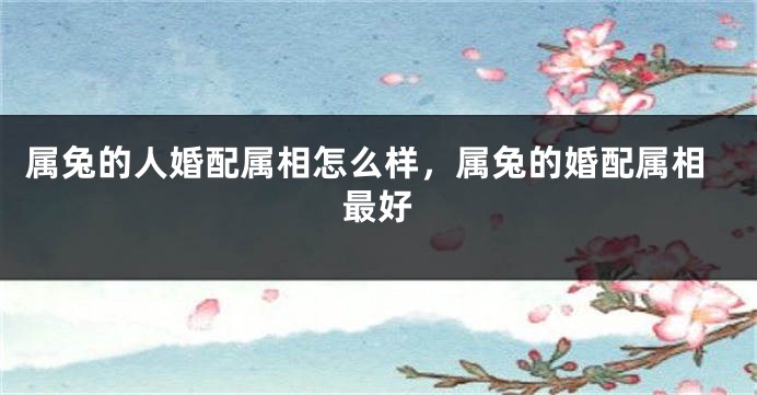属兔的人婚配属相怎么样，属兔的婚配属相最好