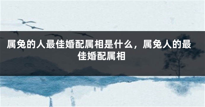 属兔的人最佳婚配属相是什么，属兔人的最佳婚配属相