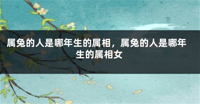 属兔的人是哪年生的属相，属兔的人是哪年生的属相女