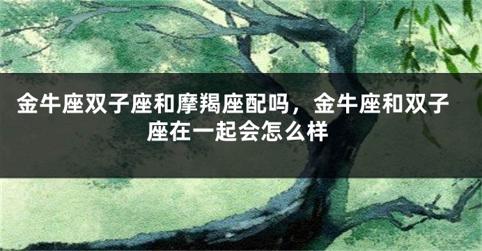 金牛座双子座和摩羯座配吗，金牛座和双子座在一起会怎么样