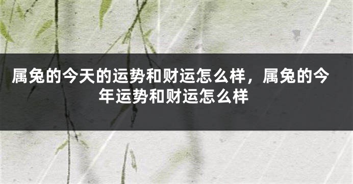属兔的今天的运势和财运怎么样，属兔的今年运势和财运怎么样