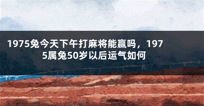 1975兔今天下午打麻将能赢吗，1975属兔50岁以后运气如何