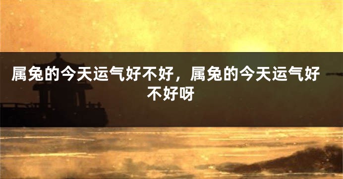 属兔的今天运气好不好，属兔的今天运气好不好呀