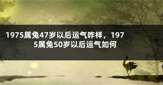 1975属兔47岁以后运气咋样，1975属兔50岁以后运气如何