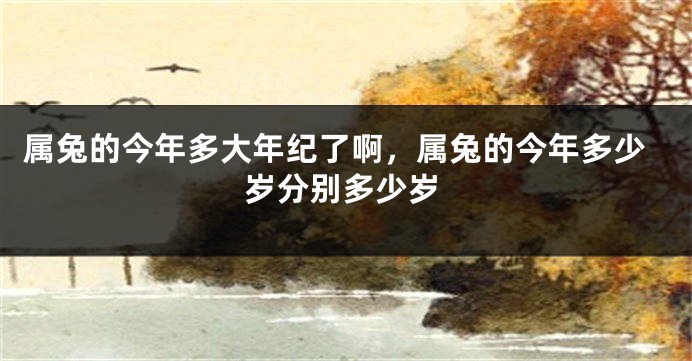 属兔的今年多大年纪了啊，属兔的今年多少岁分别多少岁