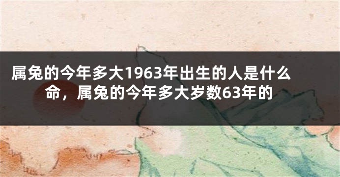 属兔的今年多大1963年出生的人是什么命，属兔的今年多大岁数63年的