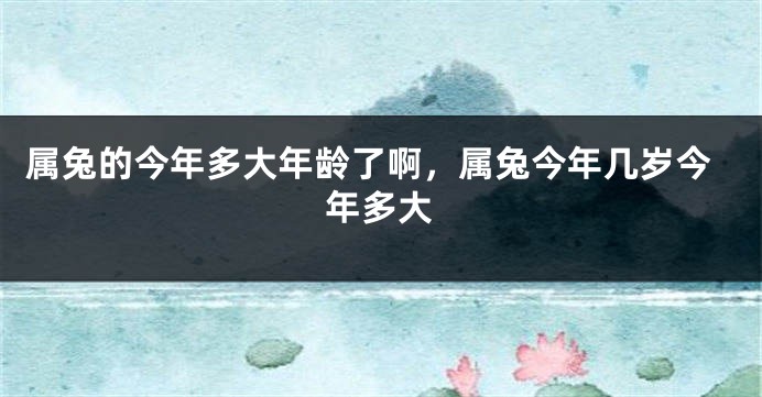 属兔的今年多大年龄了啊，属兔今年几岁今年多大