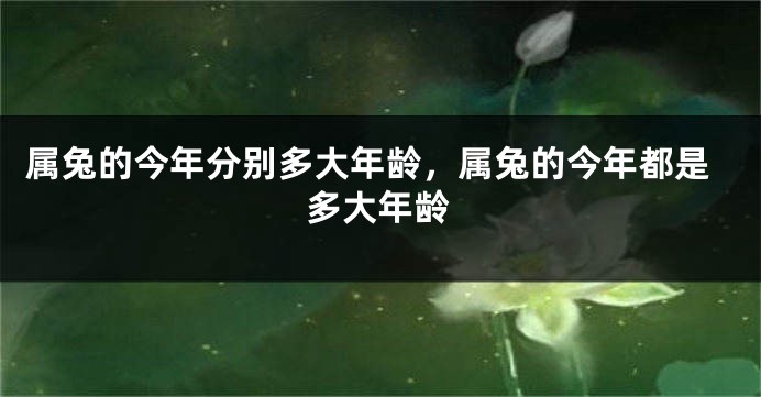 属兔的今年分别多大年龄，属兔的今年都是多大年龄