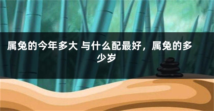 属兔的今年多大 与什么配最好，属兔的多少岁