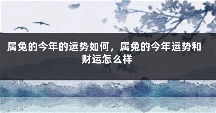 属兔的今年的运势如何，属兔的今年运势和财运怎么样