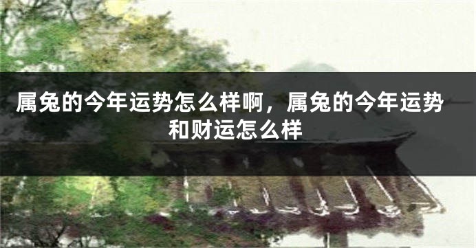 属兔的今年运势怎么样啊，属兔的今年运势和财运怎么样