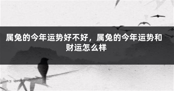 属兔的今年运势好不好，属兔的今年运势和财运怎么样