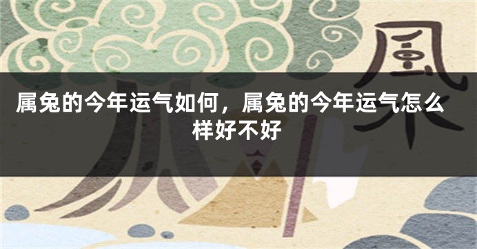 属兔的今年运气如何，属兔的今年运气怎么样好不好