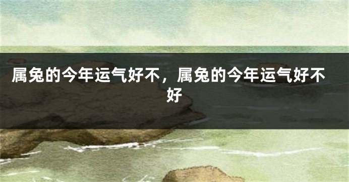 属兔的今年运气好不，属兔的今年运气好不好