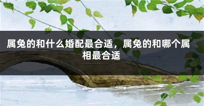 属兔的和什么婚配最合适，属兔的和哪个属相最合适