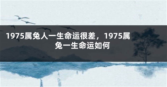 1975属兔人一生命运很差，1975属兔一生命运如何