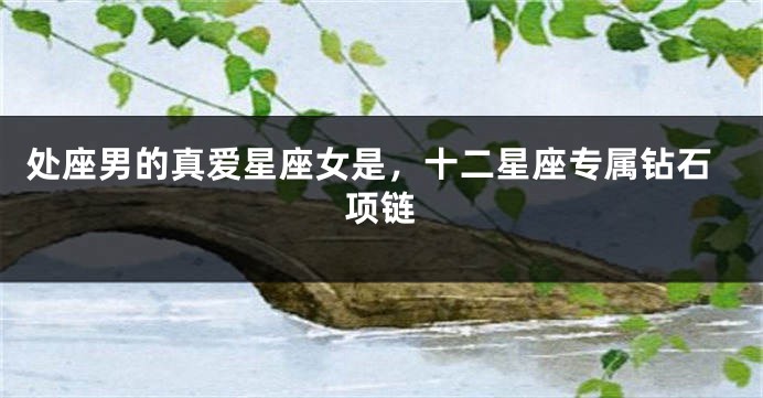 处座男的真爱星座女是，十二星座专属钻石项链