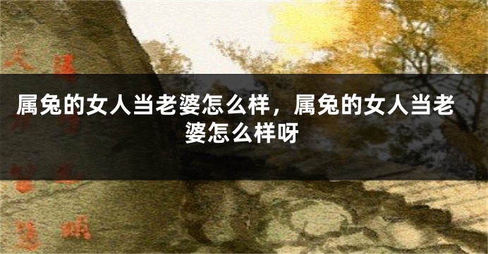 属兔的女人当老婆怎么样，属兔的女人当老婆怎么样呀