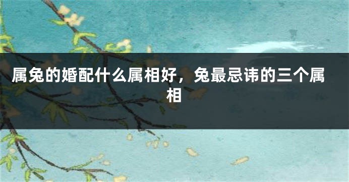 属兔的婚配什么属相好，兔最忌讳的三个属相