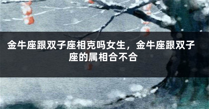 金牛座跟双子座相克吗女生，金牛座跟双子座的属相合不合