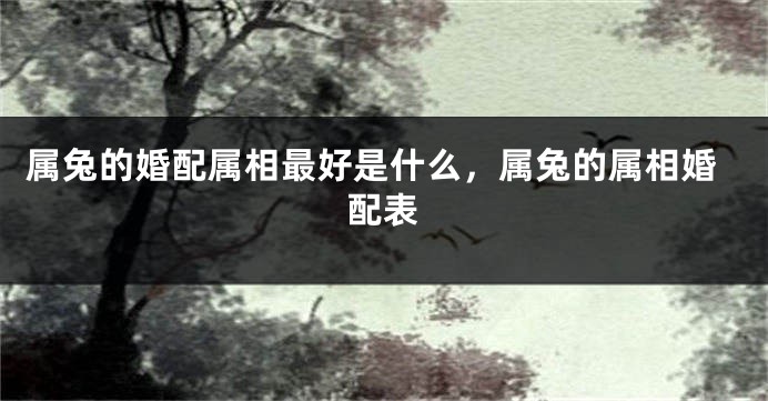 属兔的婚配属相最好是什么，属兔的属相婚配表