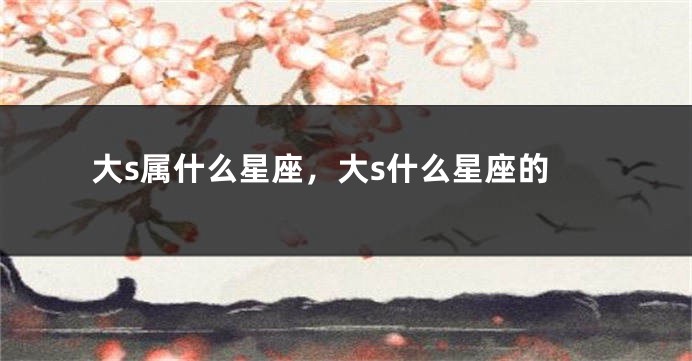 大s属什么星座，大s什么星座的
