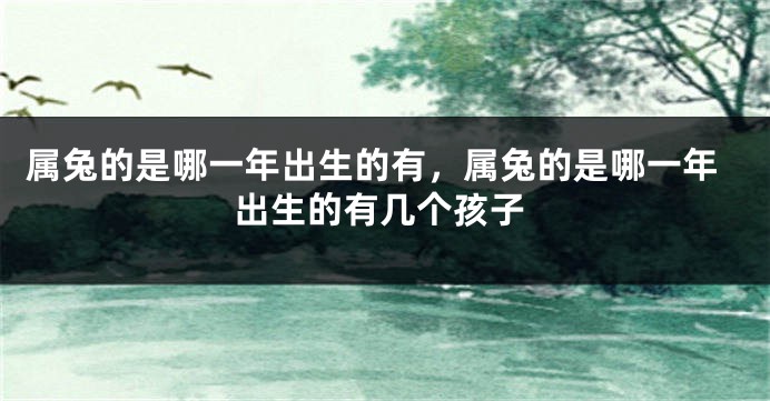 属兔的是哪一年出生的有，属兔的是哪一年出生的有几个孩子