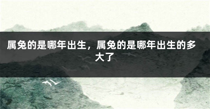 属兔的是哪年出生，属兔的是哪年出生的多大了