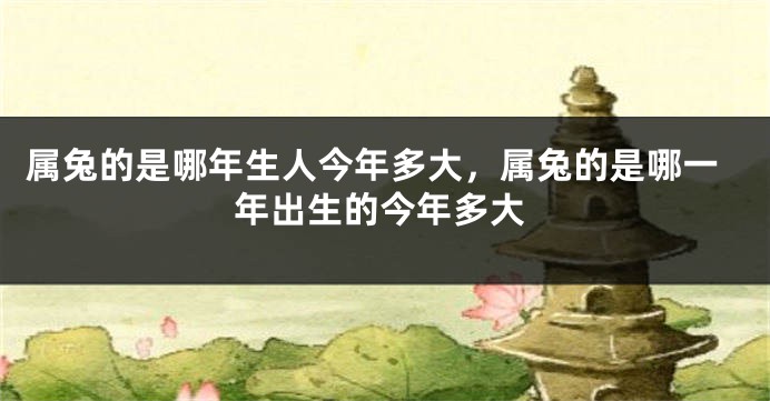 属兔的是哪年生人今年多大，属兔的是哪一年出生的今年多大