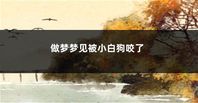 做梦梦见被小白狗咬了