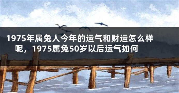 1975年属兔人今年的运气和财运怎么样呢，1975属兔50岁以后运气如何
