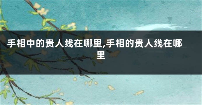 手相中的贵人线在哪里,手相的贵人线在哪里