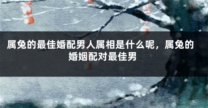 属兔的最佳婚配男人属相是什么呢，属兔的婚姻配对最佳男