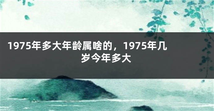 1975年多大年龄属啥的，1975年几岁今年多大