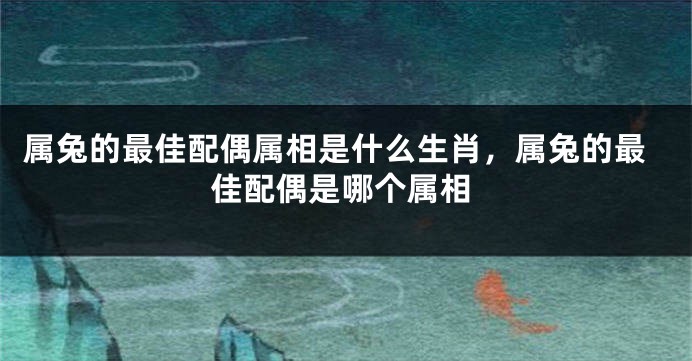 属兔的最佳配偶属相是什么生肖，属兔的最佳配偶是哪个属相
