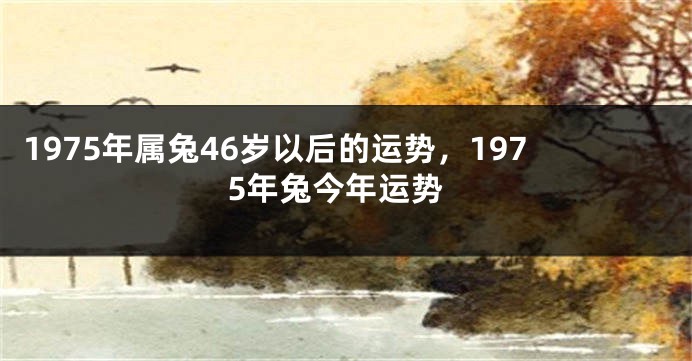 1975年属兔46岁以后的运势，1975年兔今年运势
