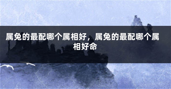 属兔的最配哪个属相好，属兔的最配哪个属相好命