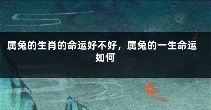 属兔的生肖的命运好不好，属兔的一生命运如何