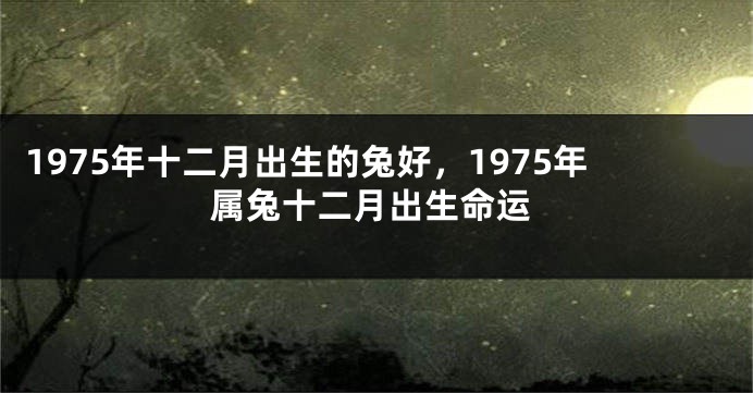 1975年十二月出生的兔好，1975年属兔十二月出生命运
