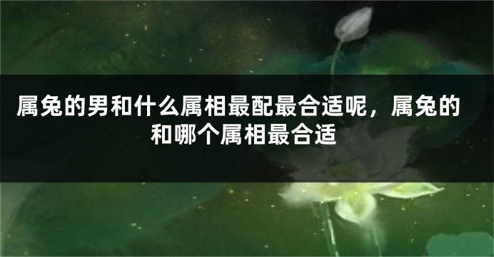 属兔的男和什么属相最配最合适呢，属兔的和哪个属相最合适