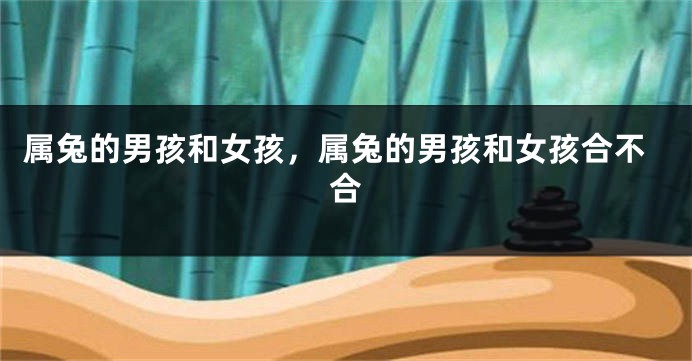 属兔的男孩和女孩，属兔的男孩和女孩合不合