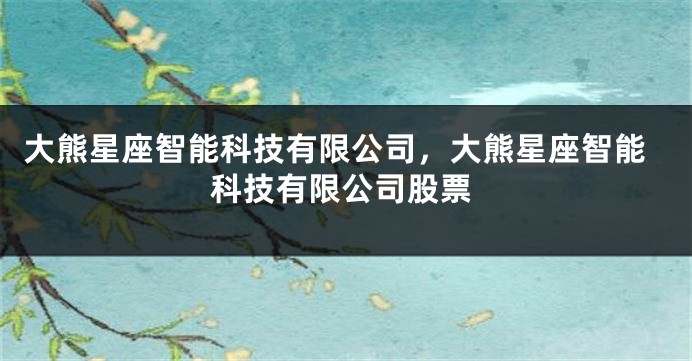 大熊星座智能科技有限公司，大熊星座智能科技有限公司股票