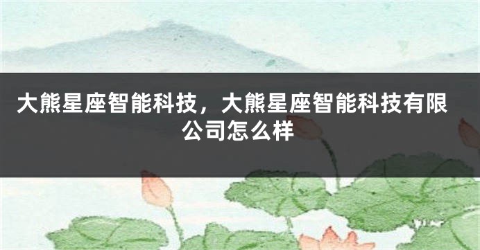 大熊星座智能科技，大熊星座智能科技有限公司怎么样