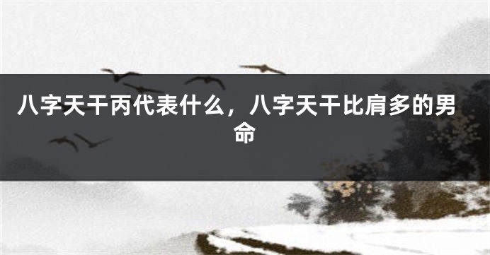 八字天干丙代表什么，八字天干比肩多的男命