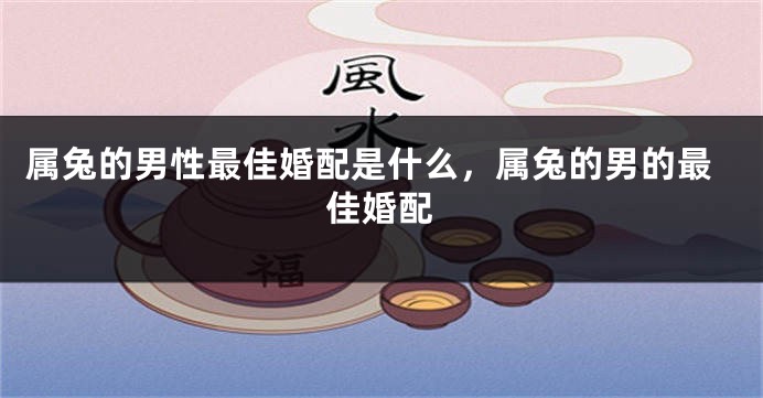 属兔的男性最佳婚配是什么，属兔的男的最佳婚配