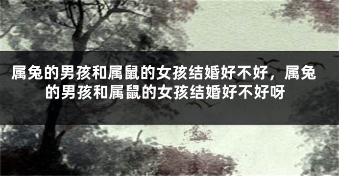 属兔的男孩和属鼠的女孩结婚好不好，属兔的男孩和属鼠的女孩结婚好不好呀