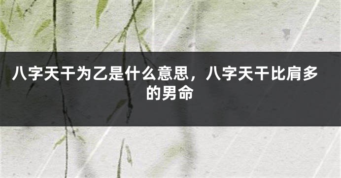 八字天干为乙是什么意思，八字天干比肩多的男命